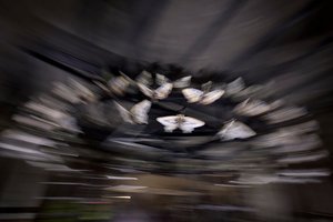 Zauberlaterne, 2010 von Mat Collishaw