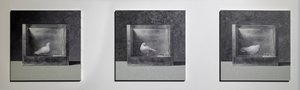 Operante Konditionierungskammer 3, 2022 von Mat Collishaw