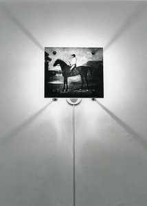Stubbs Pferde von Mat Collishaw