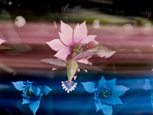 Die Zentrifugalseele, 2016 von Mat Collishaw