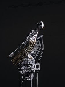 Das Nervenregal von Mat Collishaw