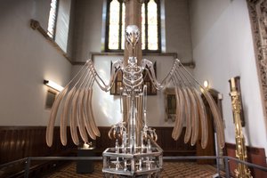 Das Nervenregal von Mat Collishaw