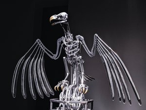 Das Nervenrack, 2019 von Mat Collishaw