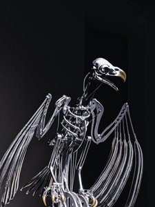 Das Nervenrack von Mat Collishaw