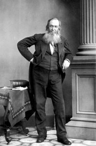 Gerrit Smith: Amerikanischer Politiker, New York von Mathew B. Brady