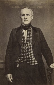 Sam Houston, ca. 1860-65 (Albumin-Silberdruck) von Mathew B. Brady