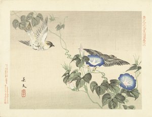 Zwei Vögel fliegen bei blauer Winde von Matsumura Keibun