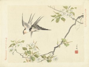 Zwei Schwalben von Matsumura Keibun