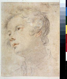 Kopf eines Jungen von Matteo Rosselli