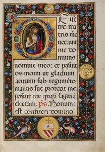 Initiale D: Johannes der Täufer von Matteo da Milano