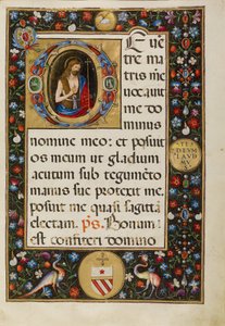 Johannes der Täufer von Matteo da Milano
