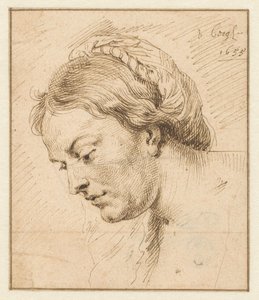 Frauenkopf von Matthys van den Bergh