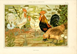 Naturgetreue Darstellung von Hühnern und Hähnen
