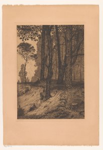 Waldrand