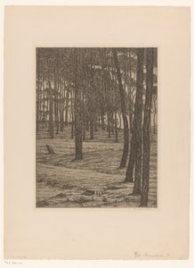 Dennenbosch I von Maurits van der Valk (signed by artist)