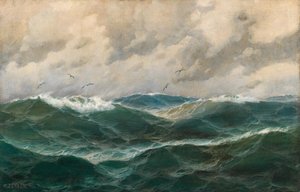Marine von Max Jensen