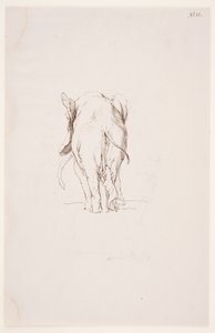 Weg der Befleckung - Elefant und schnüffelnder Hund von Max Klinger