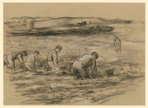 Kartoffelbuddler in Zandvoort von Max Liebermann