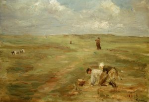 Kartoffelbuddler in den Dünen von Zandvoort