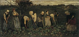 Arbeiter auf dem Zuckerrübenfeld