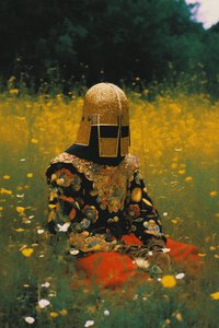 Goldener Helm im Blumenfeld