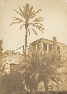 Datteln und Haus im französischen Viertel, Kairo, Dezember 1849-Januar 1850
