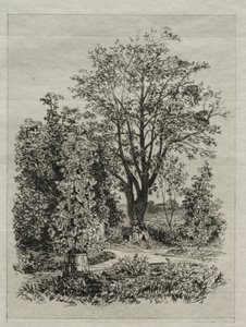 Mein Garten von Maxime Lalanne