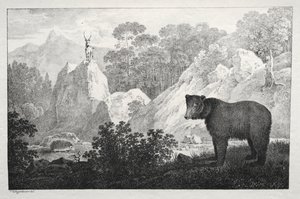 Gebirgslandschaft mit Bär im Vordergrund