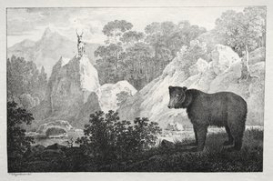 Gebirgslandschaft mit Bär im Vordergrund