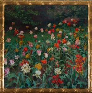 Tulpen von Maximilian Lenz