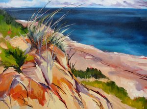 Strandgras und Dünen