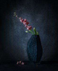 Dunkle Blumen Eleganz von May G
