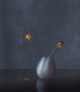 Elegante Getrocknete Blumen von May G