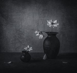 Verblassendes Blumenstillleben von May G
