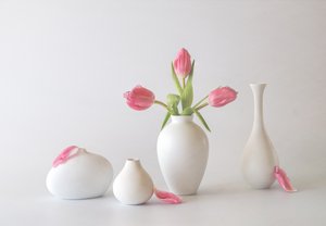 Rosa Tulpen in Vasen von May G