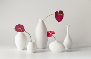 Gelassene Anthurium Anordnung von May G