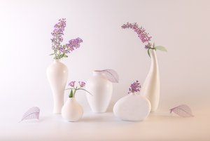 Weiße Vasen Lavendelblumen von May G