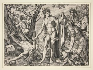 Die Häutung des Marsyas