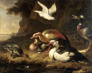 Enten von Melchior d