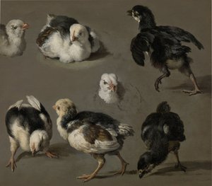Sieben Küken