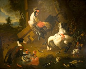 Ein Hahn mit einer Henne und drei Enten