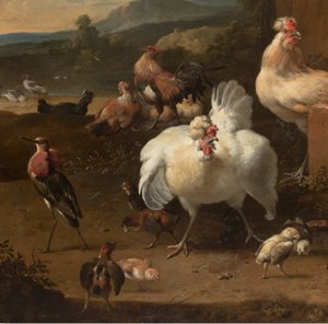 Detail aus Menagerie, ca. 1680