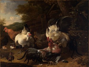 Kämpfende Hähne von Melchior de Hondecoeter
