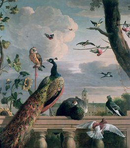 Palast von Amsterdam mit exotischen Vögeln