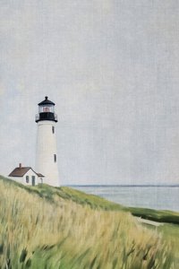 Leuchtturm auf Grasdünen