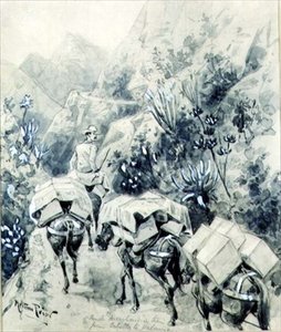 Trekking, Maultierwarenzug von Cabello nach Valencia