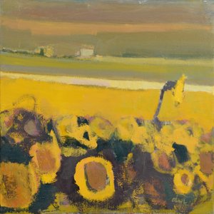 Sonnenblumen bei Puymirol, 2017