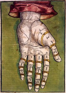 Die linke Hand von Michael Wolgemut or Wolgemuth