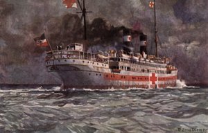 Deutsches Hospitalschiff, Erster Weltkrieg