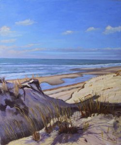 Die Dünen der Atlantikküste von Michel Bultet